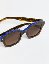 CAROLE - Acetate Stripe Brown/Blue topline