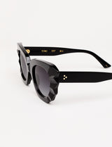 MATISSE - Acetate Black Limited Edition 1/300