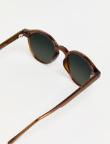 PAOLO - Shiny Cognac Polarized