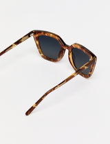HALE - Havana Polarized